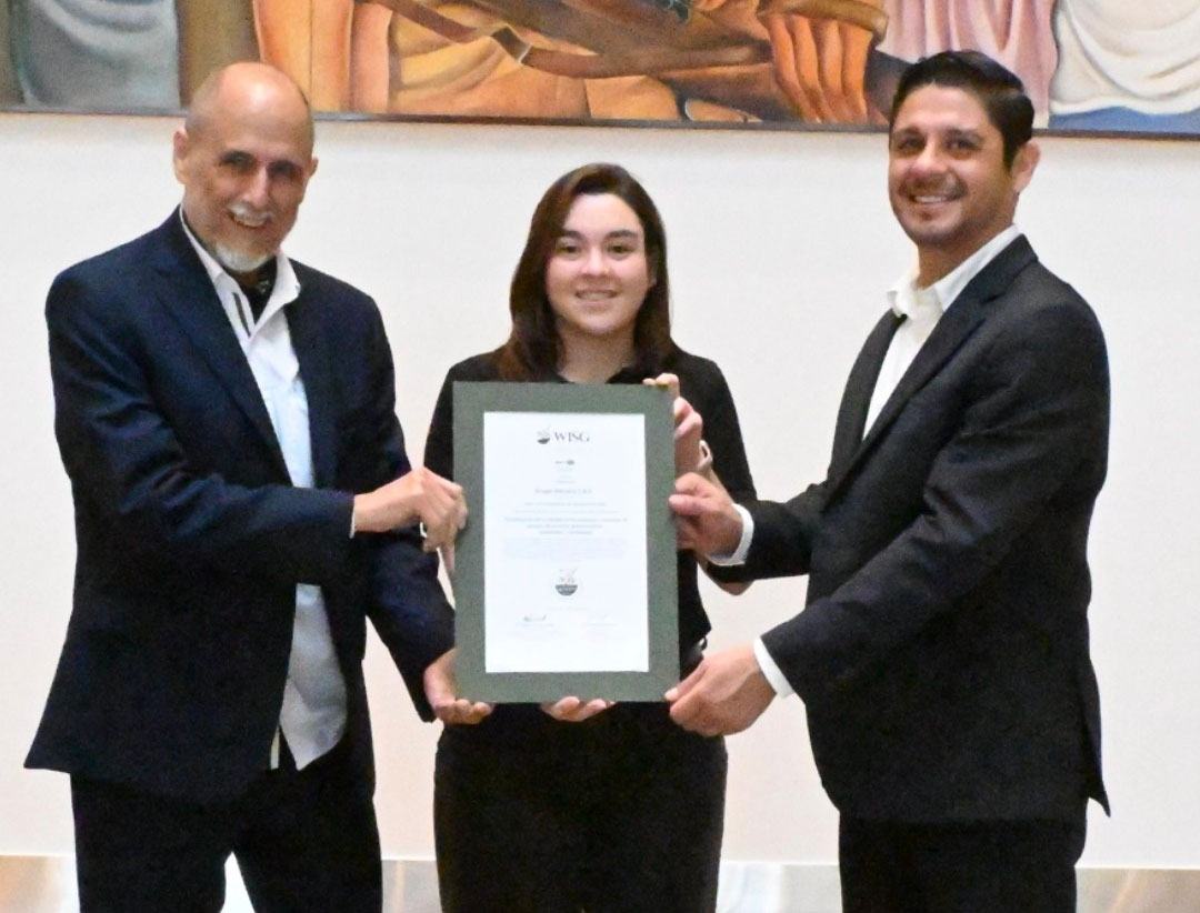 Como se implementa el sello - wisg